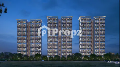 DSR EVOQ swimming pool and recreational facilities